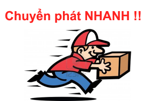 Chuyển phát nhanh, phát chuyển nhanh hay giao nhận nhanh