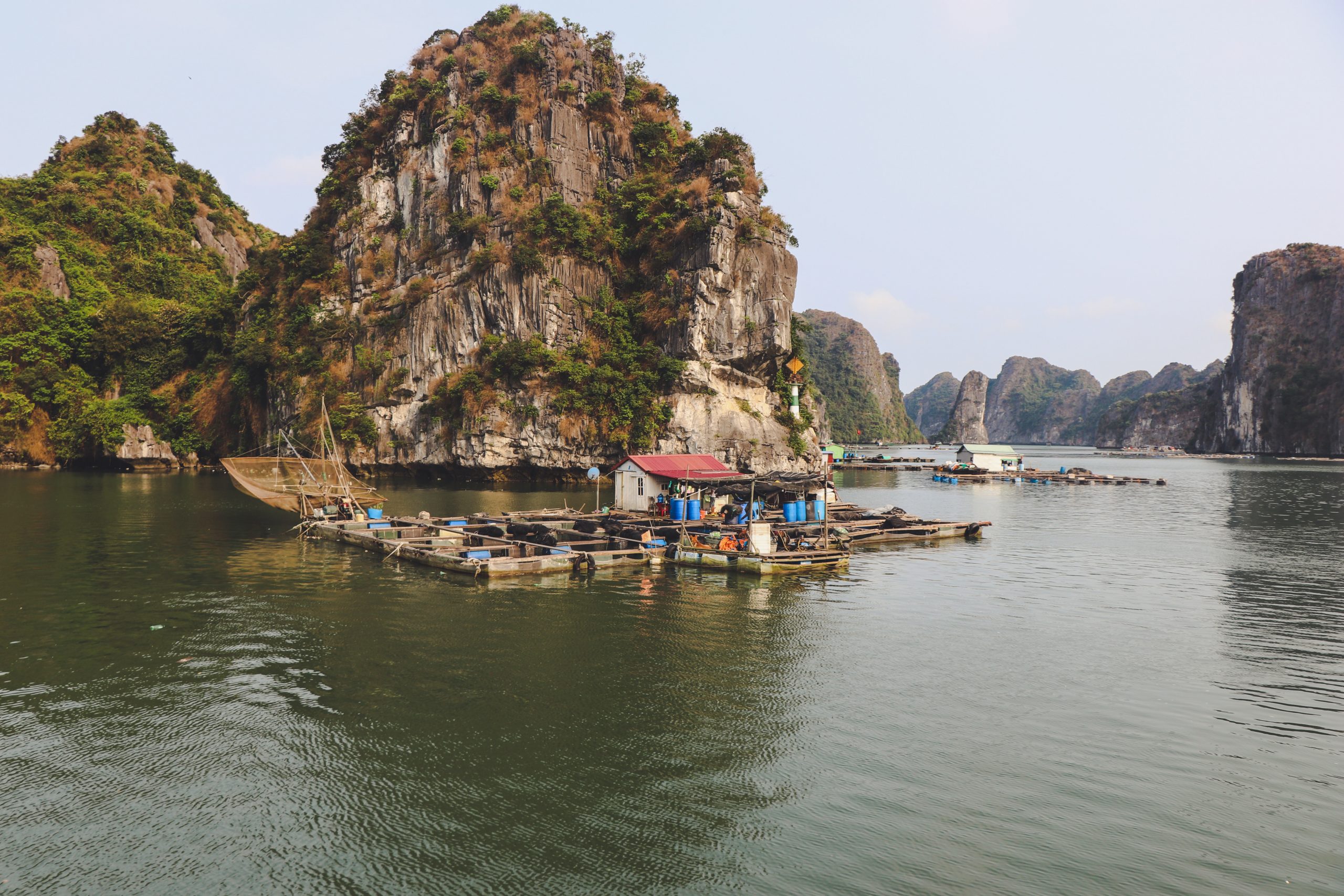 Chuyển phát nhanh hải sản từ Quảng Ninh - nội địa Việt Nam, nhanh chóng, uy tín