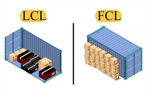 phân biệt FCL LCL