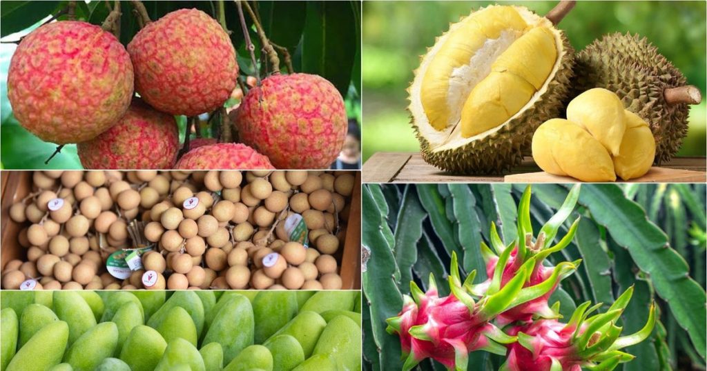 MỞ "LUỒNG XANH" XUẤT KHẨU RAU QUẢ SANG TRUNG QUỐC: CƠ HỘI NÂNG TẦM CHUỖI CUNG ỨNG NÔNG SẢN VIỆT NAM