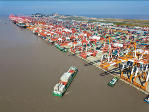 Bão liên tiếp gây áp lực lên cước vận tải xuyên Thái Bình Dương