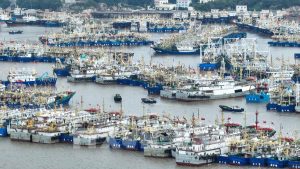 Cảng Trung Quốc ùn tắc sau bão Dolphin: Logistics chịu áp lực