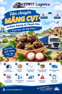 Vận chuyển măng cụt từ Bình Dương đi Thanh Hóa: Cách hạn chế dập hỏng