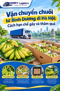 Vận chuyển chuối từ Bình Dương đi Hà Nội: Cách hạn chế gãy và thâm quả